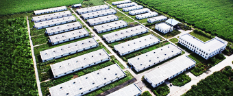 谷實(shí)風(fēng)采